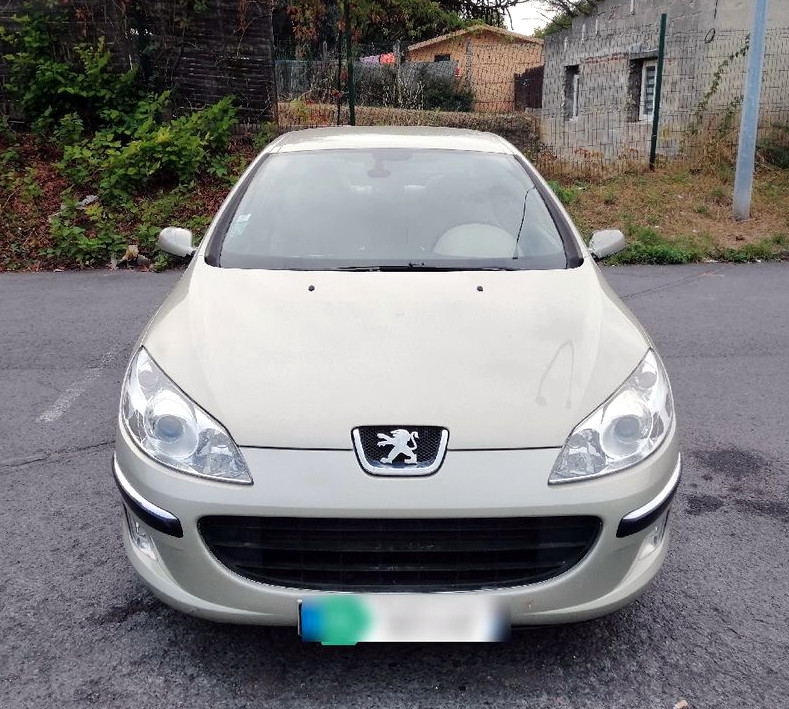 Peugeot 407 2L